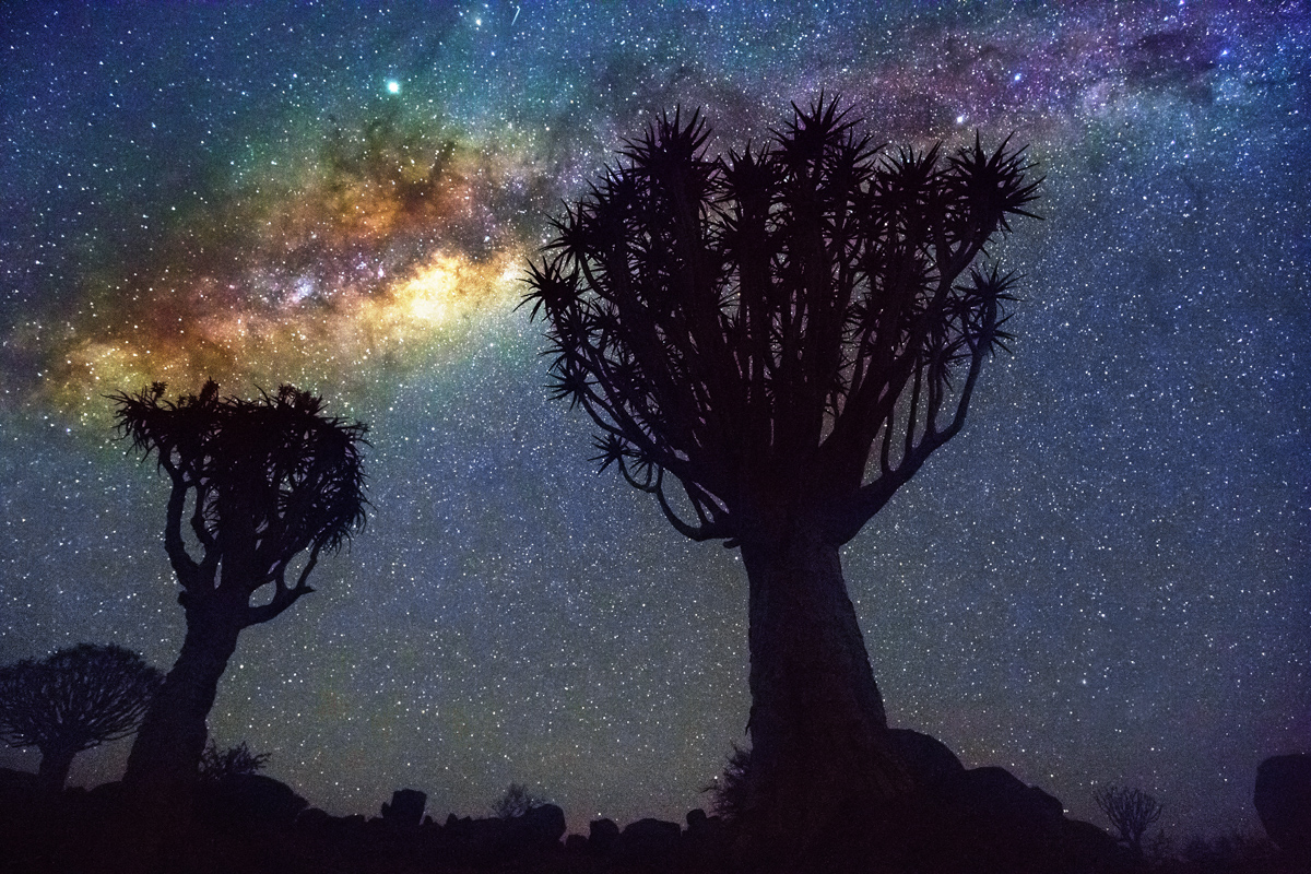 Night landscape of quiver tree forest near Keetmanshoop in Namib