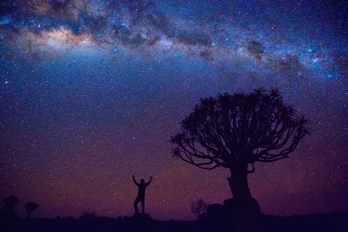 Night landscape of quiver tree forest near Keetmanshoop in Namib